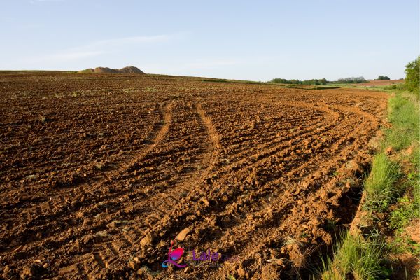 فوائد استثمار الأراضي في تركيا