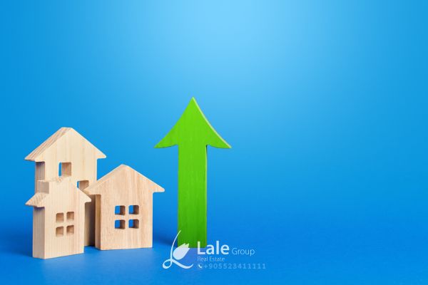 الاستثمار للحصول على الجنسية